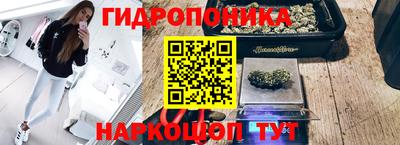 гидра Гай