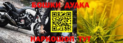 гидра Гай