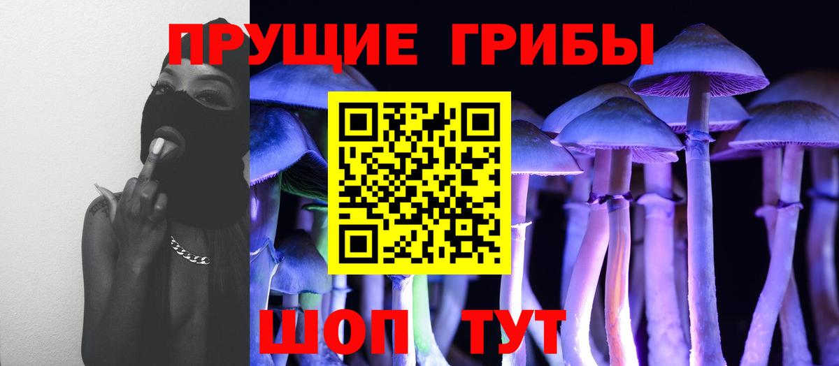 Псилоцибиновые грибы мицелий  Галлюциногенные грибы прущие грибы  Вход с VPN  Ставрополь 